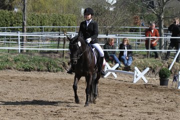Bild 339 - WBO-Turnier am 9.4.11